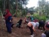 Kader PKK dan Dasawisma Desa Simbang Benahi Persiapan Kebun PKK.