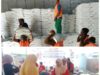 Pemkab Majene dan Bulog Gelar Gerakan Pangan Murah Sambut Hari Jadi ke-481 dan HUT RI ke-81.